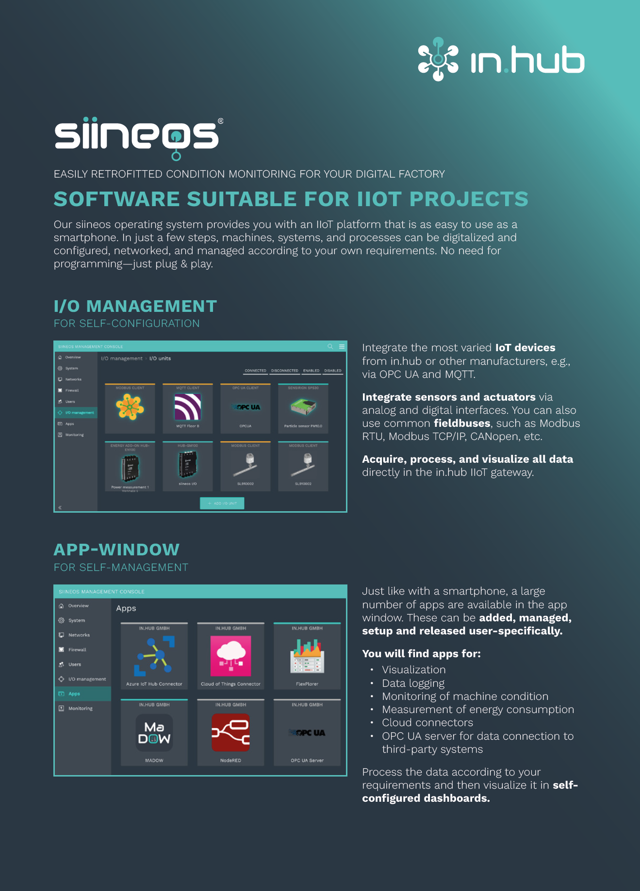 Flyer siineos | english